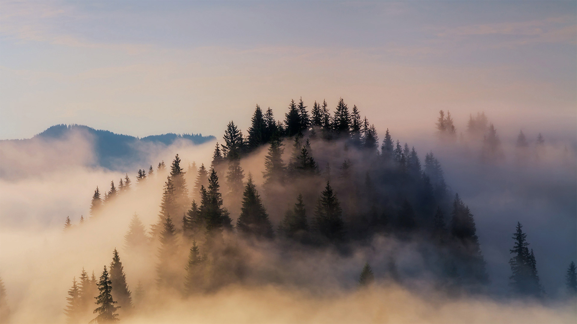 大雾笼罩下的巴伐利亚阿尔卑斯山脉巴伐利亚阿尔卑斯山脉-www.todaybing.com 必应壁纸 必应美图
