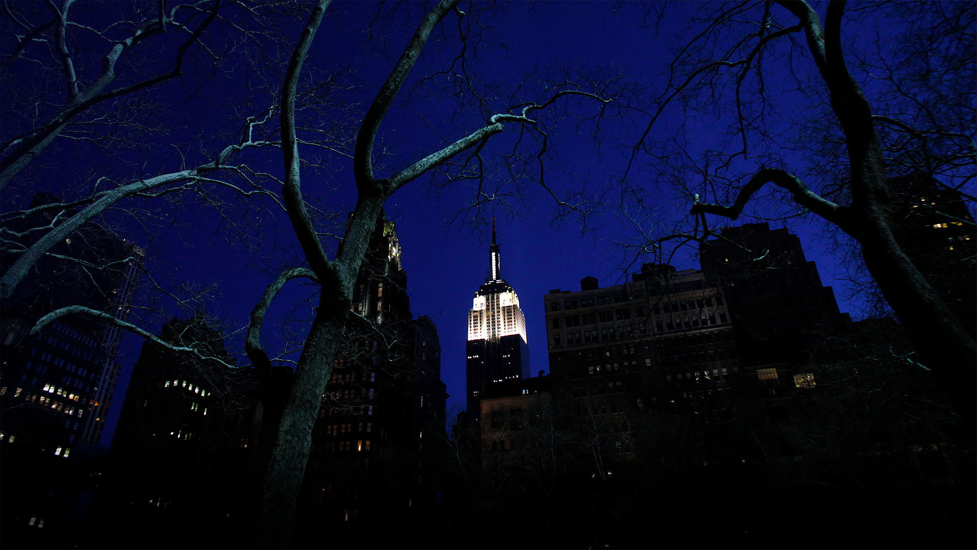 2011年在“地球一小时”前亮灯的纽约帝国大厦 -www.todaybing.com 必应壁纸 必应美图