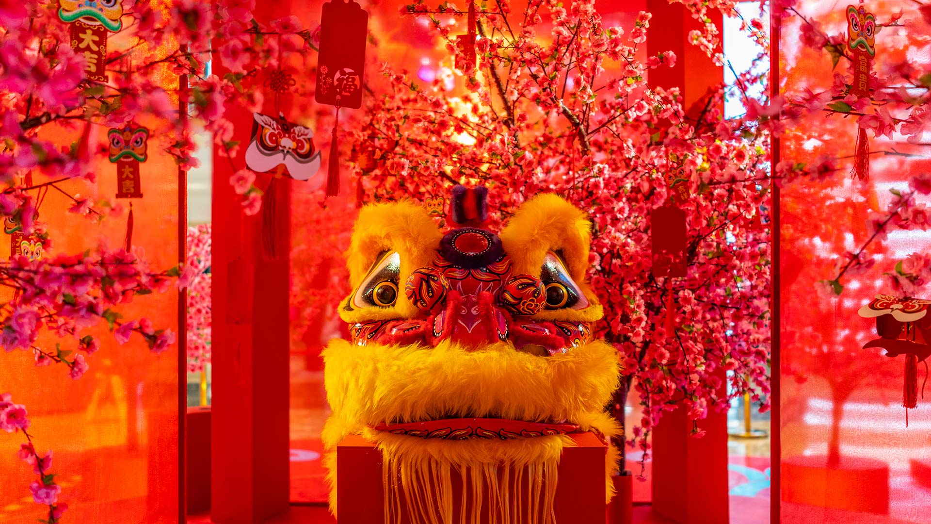 中国舞狮春节-www.todaybing.com 必应壁纸 必应美图